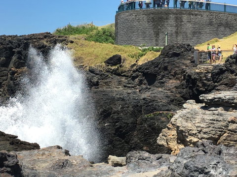 Sweet Spot Shellharbour - Tourism Search 18