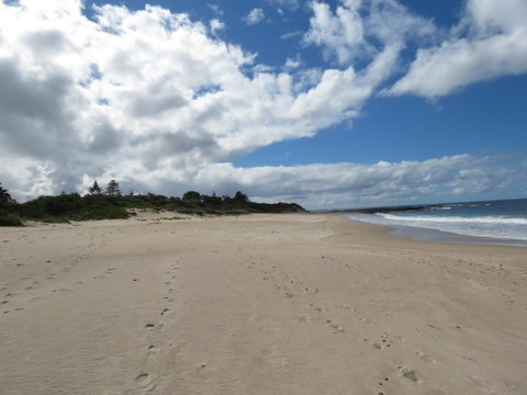 Sweet Spot Shellharbour - Tourism Search 15