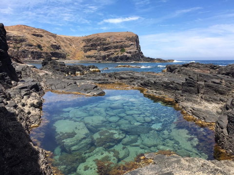 Sweet Spot Shellharbour - Tourism Search 17