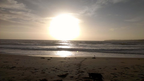 Sweet Spot Shellharbour - Tourism Search 16