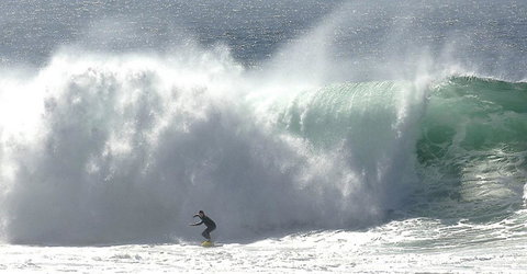 Refuge Cove On Pittwater - Tourism Search 16