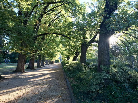 The Botanical 201 - Tourism Search 17