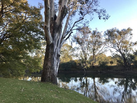 The Botanical 201 - Tourism Search 18