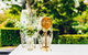 The Lodge Bellingen - thumb 23