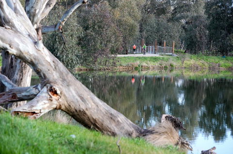 Mercure Albury - Tourism Search 15