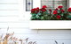 Morpeth Cottage - thumb 41