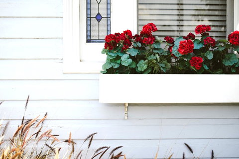 Morpeth Cottage - Tourism Search 41