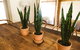 Morpeth Cottage - thumb 25