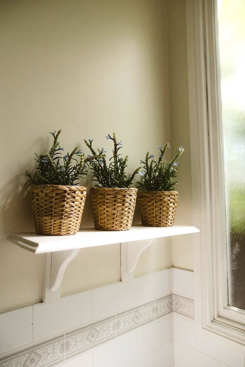 Morpeth Cottage - Tourism Search 31