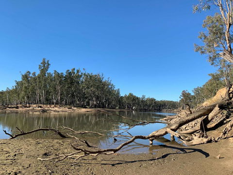Corowa Bindaree Holiday Park - Tourism Search 1
