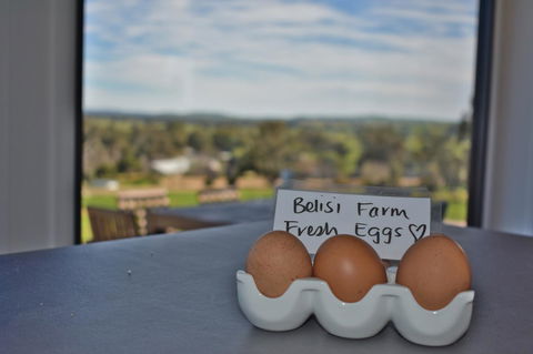 Belisi Farmstay Cottage - Tourism Search 20
