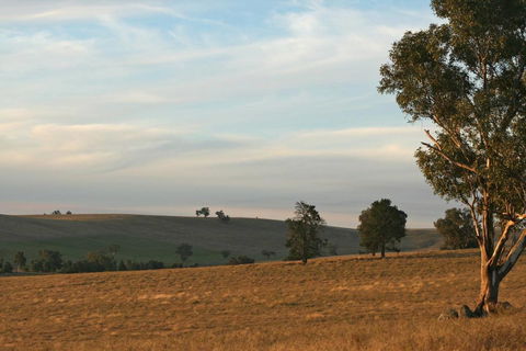 Belisi Farmstay Cottage - Tourism Search 33