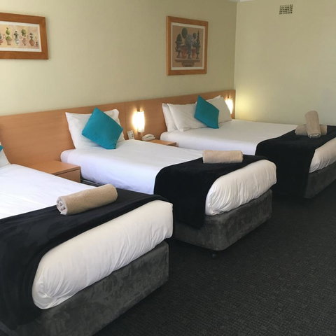 Sky Rider Motor Inn - Tourism Search 40