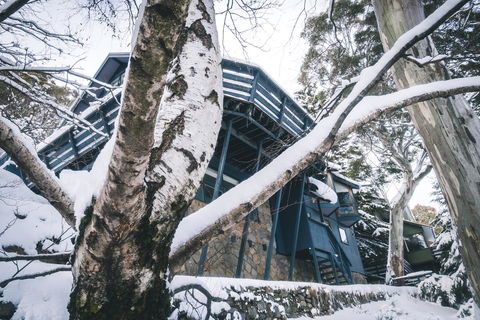 Pure Chalet Thredbo - Tourism Search 21
