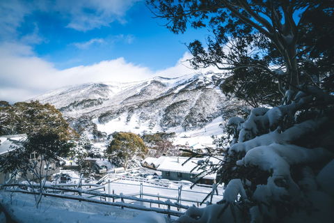 Pure Chalet Thredbo - Tourism Search 31