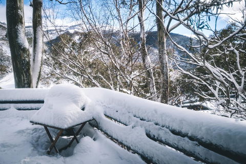 Pure Chalet Thredbo - Tourism Search 19