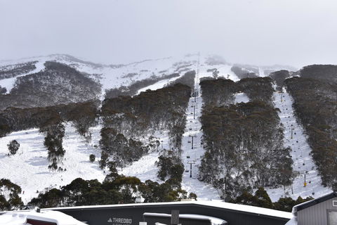 Pure Chalet Thredbo - Tourism Search 6