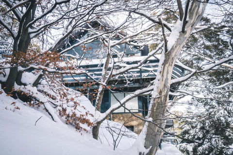 Pure Chalet Thredbo - Tourism Search 27