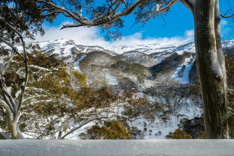 Pure Chalet Thredbo - Tourism Search 17