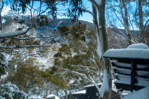 Pure Chalet Thredbo - Tourism Search 30