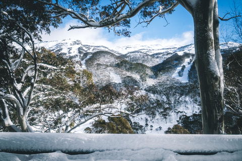 Pure Chalet Thredbo - Tourism Search 2