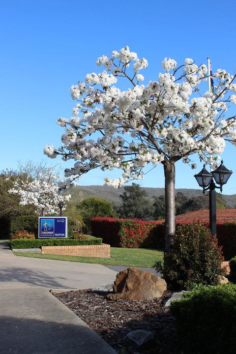 Hume Country Motor Inn - Tourism Search 0