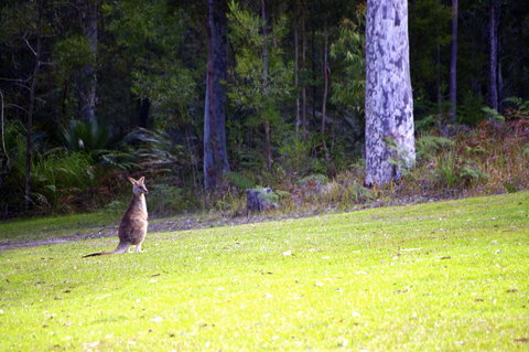 Jackson Ranch By Bannisters - Tourism Search 31