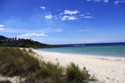 Jackson Ranch By Bannisters - Tourism Search 32