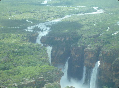 Mercure Kakadu Crocodile - Tourism Search 33