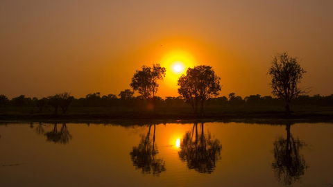 Mercure Kakadu Crocodile - Tourism Search 26
