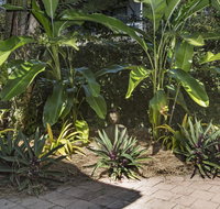 Nineteen on Nudl - Tourism Search