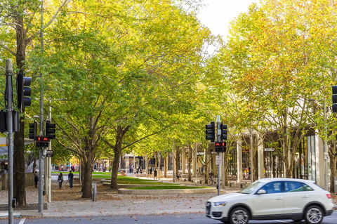 Highgate Executive Apartment City Walk Canberra - Tourism Search 37