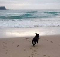 Breakers at Mudjimba Beach - Tourism Search