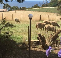 Cape View B and B - Tourism Search