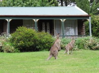 Book Mount Victoria Accommodation Vacations Tourism Search Tourism Search