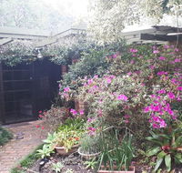 Charming country house close to Grafton - Tourism Search