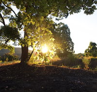 Clarendon Forest Retreat - Tourism Search