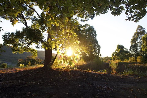 Clarendon Forest Retreat - Tourism Search 0
