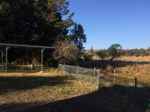 Cockatoo Corner - Armidale - Tourism Search 1