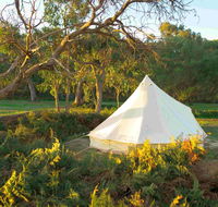 Coonawarra Bush Holiday Park - Tourism Search
