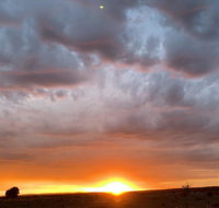 creative 3D sculpture share - Tourism Search