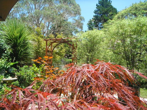 Crimson Villa - Tourism Search 3