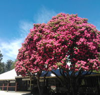 Crossways Country Inn - Tourism Search