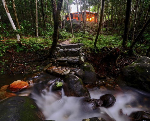 Daintree Cascades - Tourism Search 0