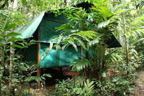 Daintree Crocodylus - Tourism Search 0