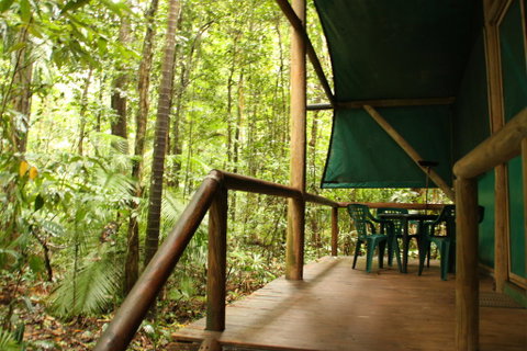 Daintree Crocodylus - Tourism Search 1