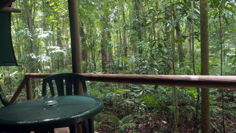 Daintree Crocodylus - Tourism Search 2