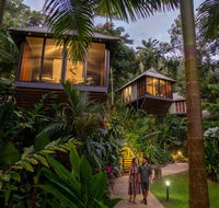 Daintree Ecolodge - Tourism Search