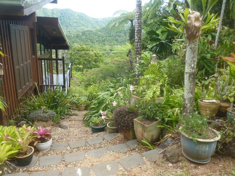 Daintree Holiday Homes - The Folly - Tourism Search 0