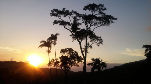 Daintree Holiday Homes - Yurara - Tourism Search 0